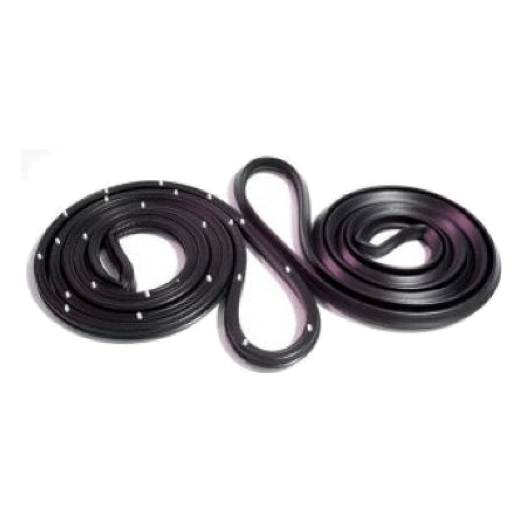 Molded Rubber Door Weatherstrip Seals For 1971-1977 Chevrolet Vega Cosworth
